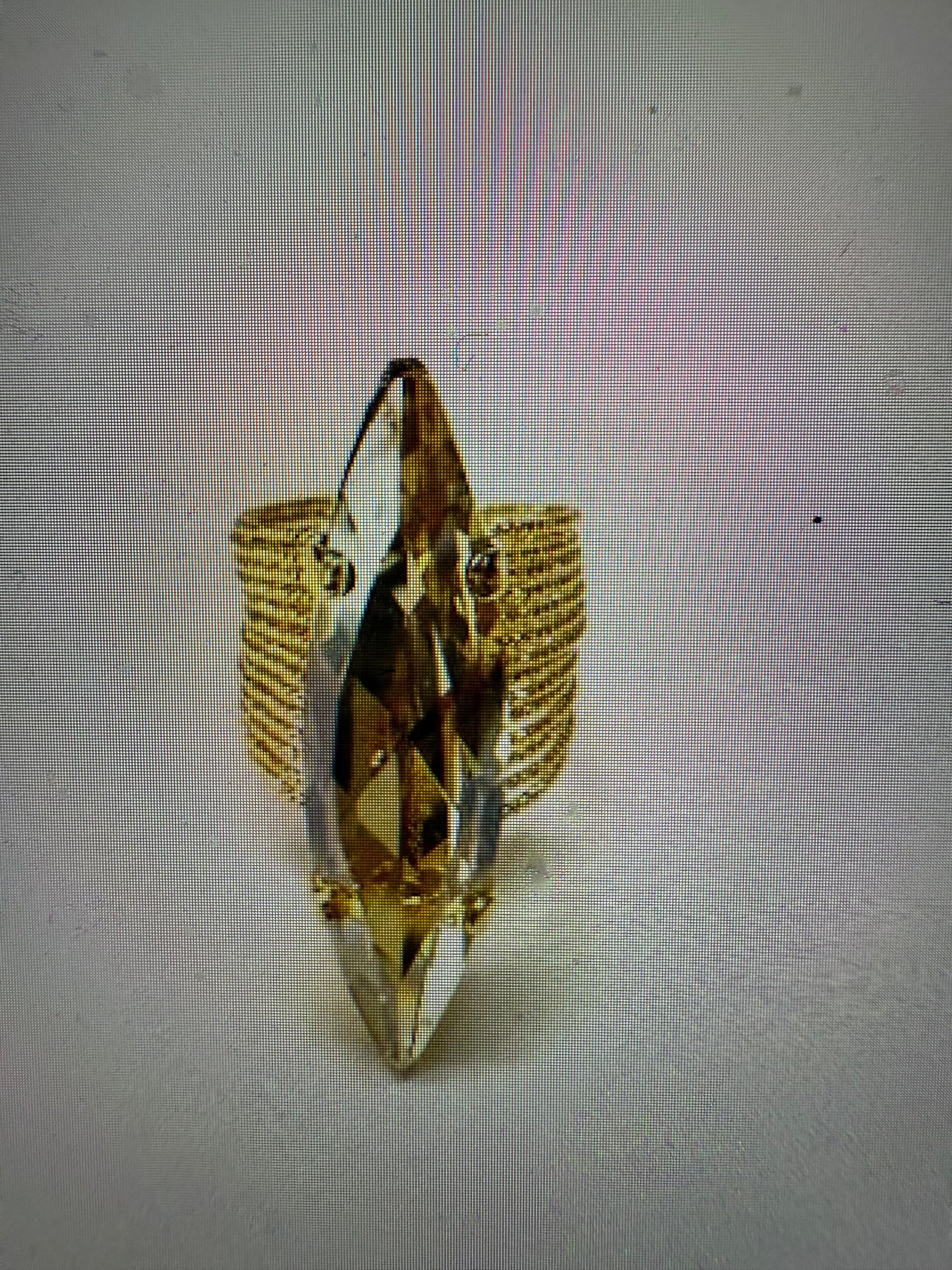 BAGUE ALLONGÉE NUDE