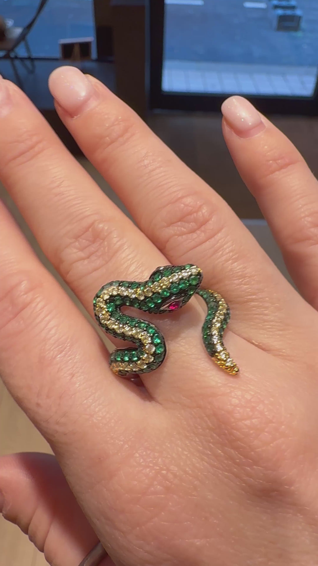 SERPENT DU BESTIAIRE NIIKI